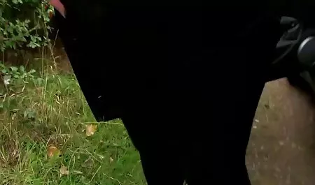 آلت بزرگ آلبوم ریخته گری به راحتی در جوجه های جوراب لینک مستقیم فیلم سوپر سیاه جای می گیرد